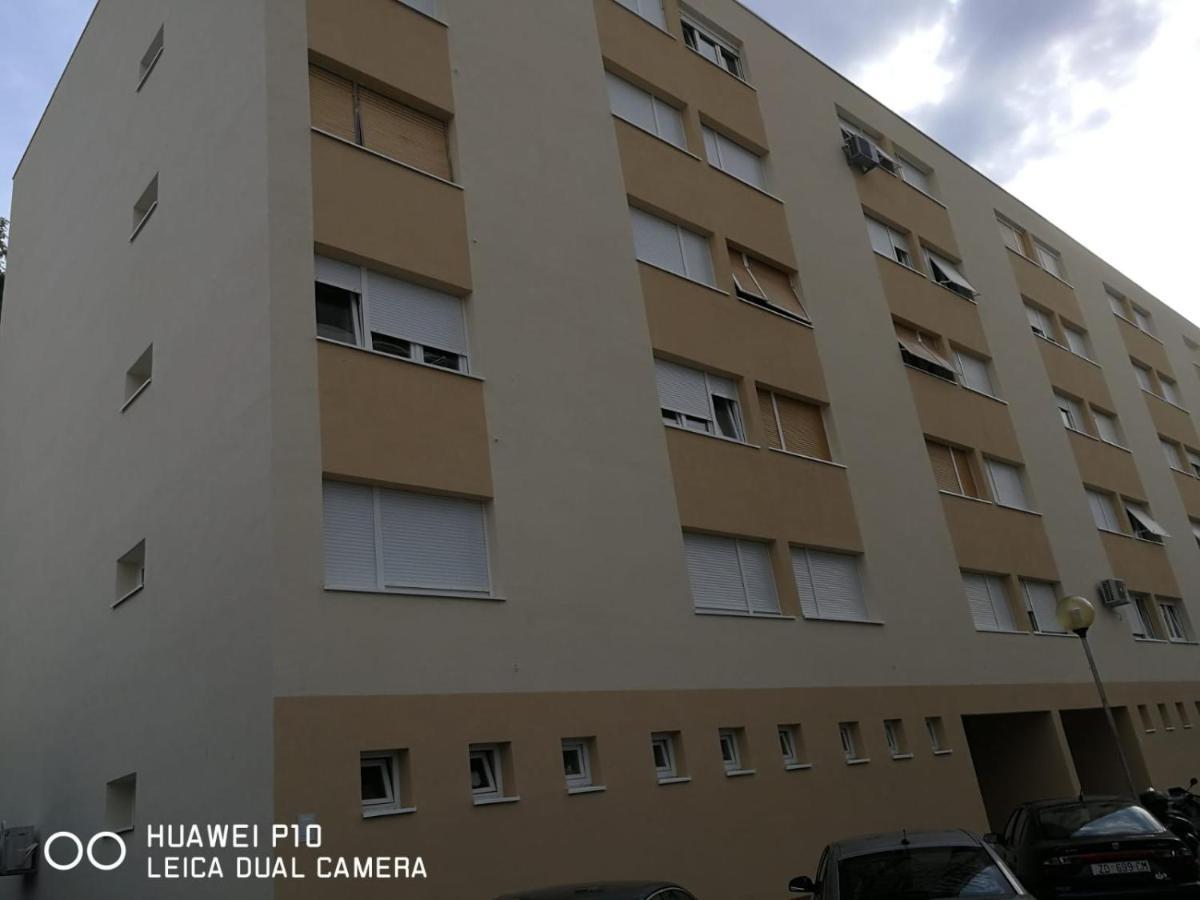 Apartment Mihaela Zadar Dış mekan fotoğraf