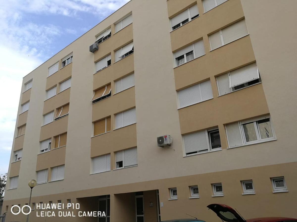 Apartment Mihaela Zadar Dış mekan fotoğraf